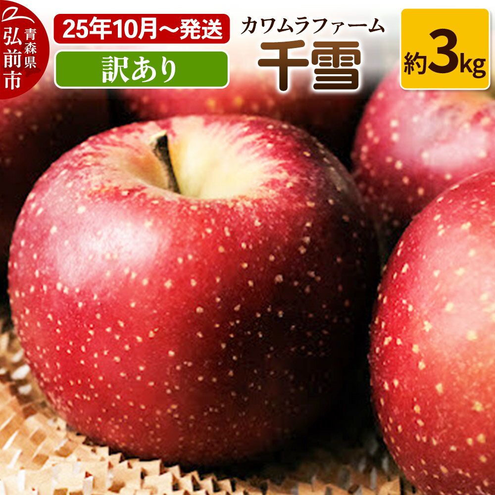 【ふるさと納税】【レビューキャンペーン】【25年10月〜発送】りんご 千雪 約3kg カワムラファーム 訳あり【先行受付】 青森 果物 フルーツ 林檎 リンゴ くだもの 予約