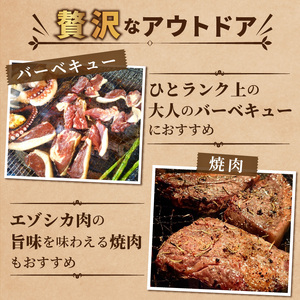 北見エゾシカ熟成（ドライエイジング） ひとくちロースステーキ 約560g ( 鹿肉 ジビエ ステーキ )【025-0021】