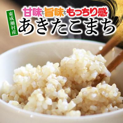 ふるさと納税 東成瀬村 meguruhi 令和6年産 あきたこまち 玄米 3kg(3kg×1袋)|07_ntc-030201 |  | 03