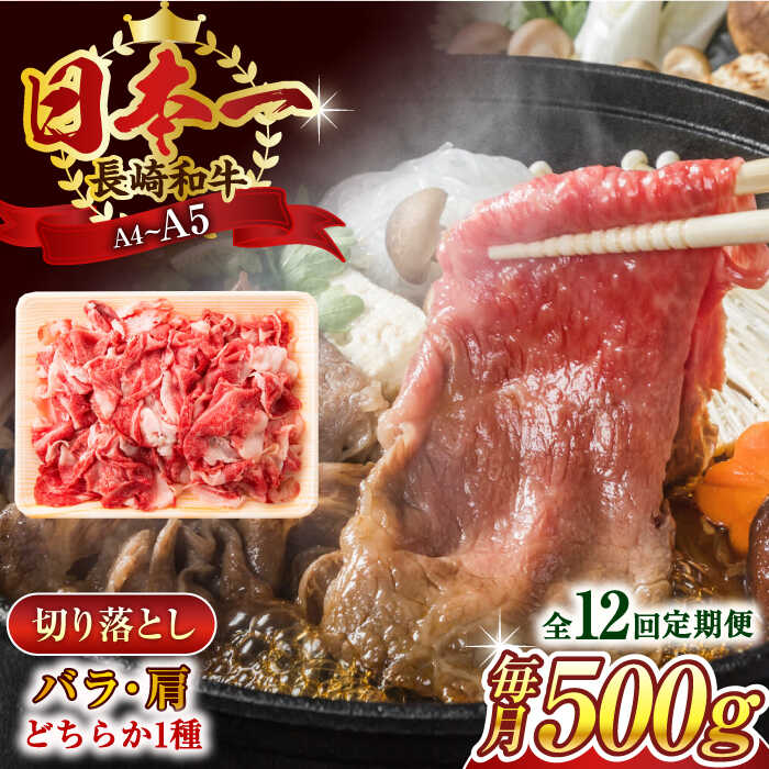 【ふるさと納税】【全12回定期便】【A4〜A5】長崎和牛切り落とし　500g【株式会社 MEAT PLUS】[QBS047]