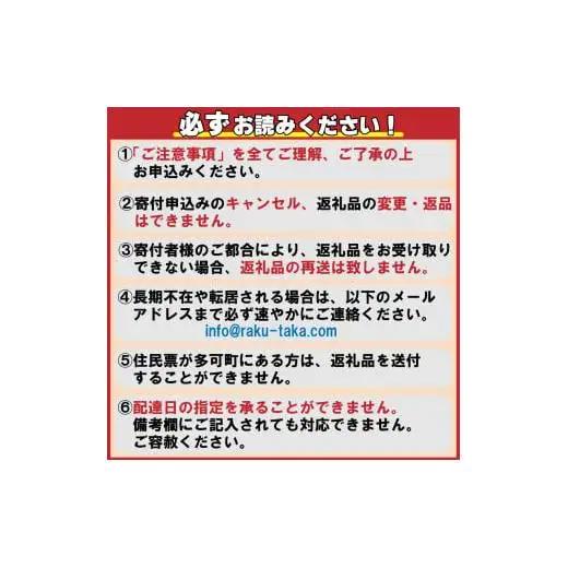 ランチペアチケット [299]