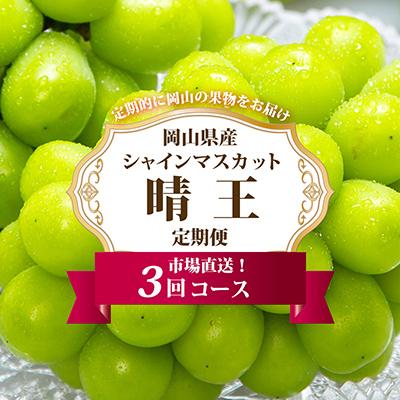ふるさと納税 玉野市 【発送月固定定期便】岡山県産 シャインマスカット『晴王』定期便全3回