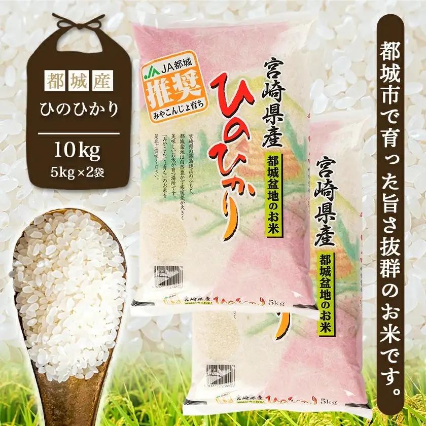 都城産ひのひかり10kg(5kg×2袋)〔24-1502〕_(都城市) 令和7年産 都城産 お米 10kg ひのひかり