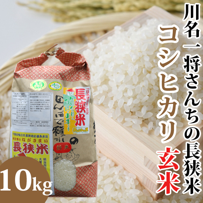 【令和6年産】川名一将さんちの長狭米　コシヒカリ10kg【玄米】 [0022-0008]