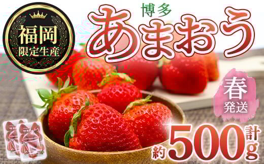 ＜先行予約受付中！2026年2月上旬～2026年4月下旬に順次発送予定＞ 博多あまおう・春 (計約500g) いちご 苺 フルーツ 果物 くだもの 福岡限定 家庭用 冷蔵＜離島配送不可＞【ksg1739】【農産物直売所ほたるの里】