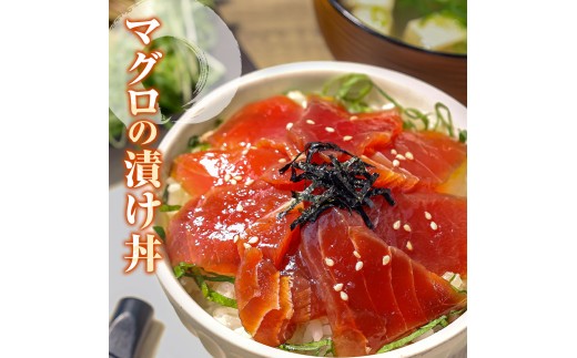 訳あり海鮮漬け丼（タイ12P・マグロ8P）セット 漬け丼 漬け 鯛 鮪 マグロ 赤身 食べ比べ 海鮮 魚 冷凍 食品 保存食 小分け 高知 土佐 海鮮丼 漬け丼 ぶっかけ お茶漬け 鯛めし 