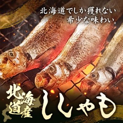 ふるさと納税 日高町 北海道産 ししゃも LL20尾セット(オス・メス各10尾) 有限会社阿部水産《14日以内に出荷予定》