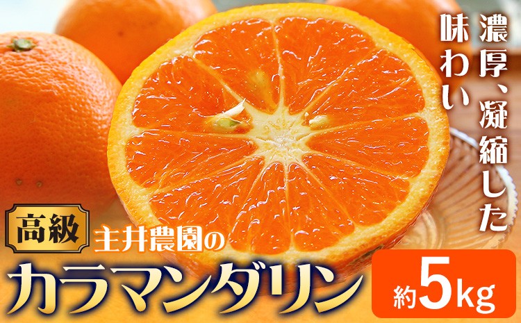 
                  先行予約 高級カラマンダリン約5kg 主井農園《4月上旬-5月中旬頃出荷》 和歌山県 日高町 カラマンダリン みかん 高級 果物 送料無料
                