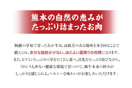 肥後のあか牛（熊本県産）すき焼き用1000g 南阿蘇食品《90日以内に出荷予定(土日祝除く)》