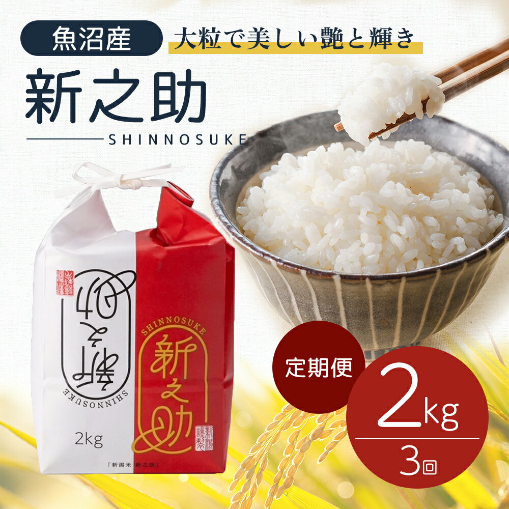 【ふるさと納税】令和6年産 定期便 魚沼産 新之助 精米2kg×3回 お米 こめ コメ 　お届け：寄附確認月の翌月より発送いたします。2回目以降は、毎月1回順次発送いたします。