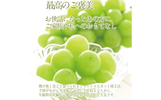 プレミアム シャインマスカット 晴王 1房 約600g【2026年9月上旬-10月下旬 発送予定】 【シャインマスカット マスカット ぶどう 葡萄 岡山県産 種無し 皮ごと食べる みずみずしい 9月～