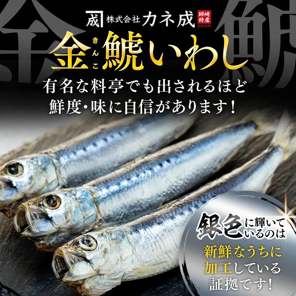いわしの丸干し 24尾(8尾×3パック) 小分け イワシ
