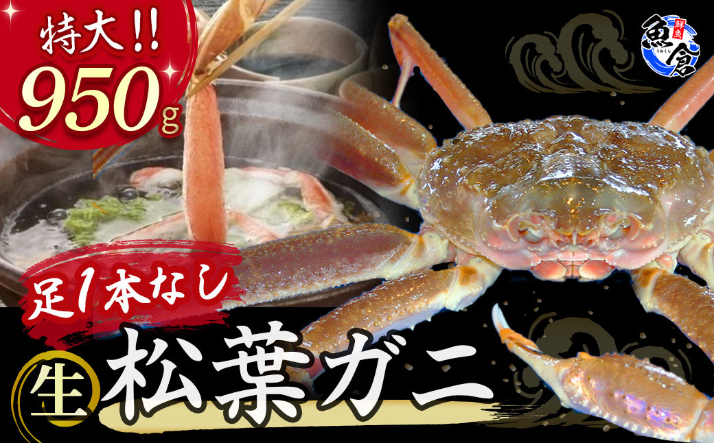 
            【魚倉】足１本なし生松葉ガニ（特大９５０ｇ） 訳あり 松葉ガニ カニ ズワイガニ カニ爪 冷蔵 かにしゃぶ カニ刺身 新鮮 鳥取 倉吉 特大 大容量
          