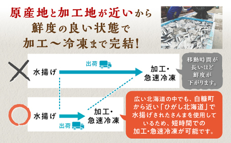 北海道産さんま蒲焼【30枚入り】_K013-0250-2602
