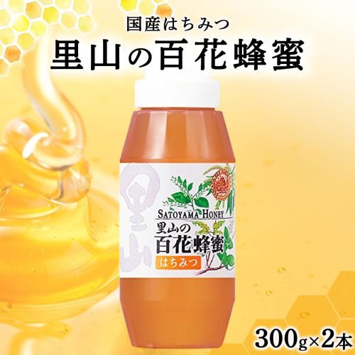 山田養蜂場　里山の百花蜂蜜300g（プラ容器入）×2本 （64231）【006-a035】【山田養蜂場】