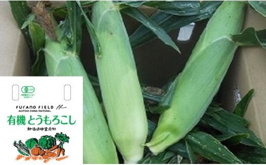 
                  有機とうもろこし　10本
                