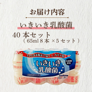 カゼイのちから いきいき乳酸菌 65ml 40本入 | 乳製品 乳酸菌飲料 飲み物 詰め合わせ セット ドリンク ドリンクタイプ 飲料 お取り寄せ 愛媛県 松山市【LNB002】