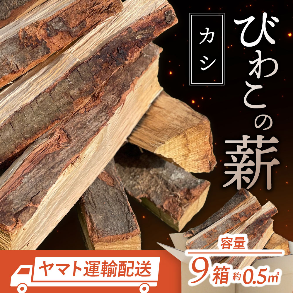 【ふるさと納税】びわこの薪（カシ薪×9箱） 株式会社ジンジ 滋賀県 東近江市 AA-A01 びわこの薪 カシ 薪 9箱 広葉樹 ストーブ用 キャンプ アウトドア 暖炉 焚き火 火持ち 火力 乾燥薪 着火 滋賀県産 東近江市産