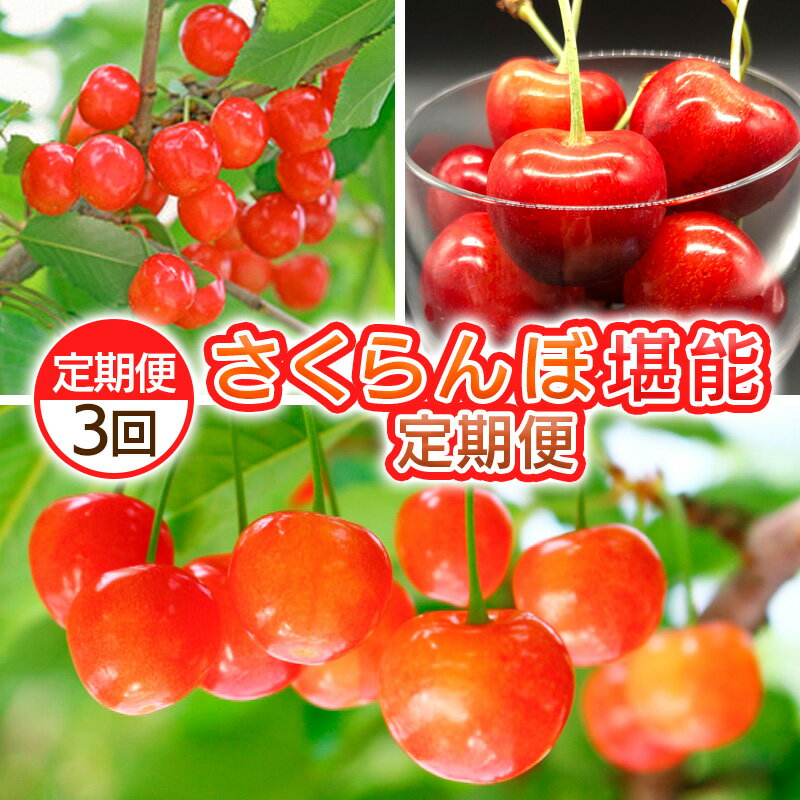 【ふるさと納税】【定期便3回】さくらんぼ堪能定期便【令和8年産先行予約】FS25-062