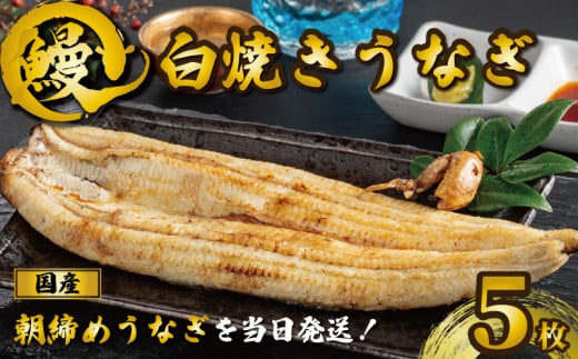 国産うなぎ 白焼き 5枚 約120g×5 うなぎ 鰻 白焼き 蒲焼 定期便 うな重 鰻丼 うな丼 ひつまぶし 土用の丑の日 土用丑 魚 海鮮 魚介類 肉 肝 レバー 冷蔵 おつまみ おかず 惣菜 酒 