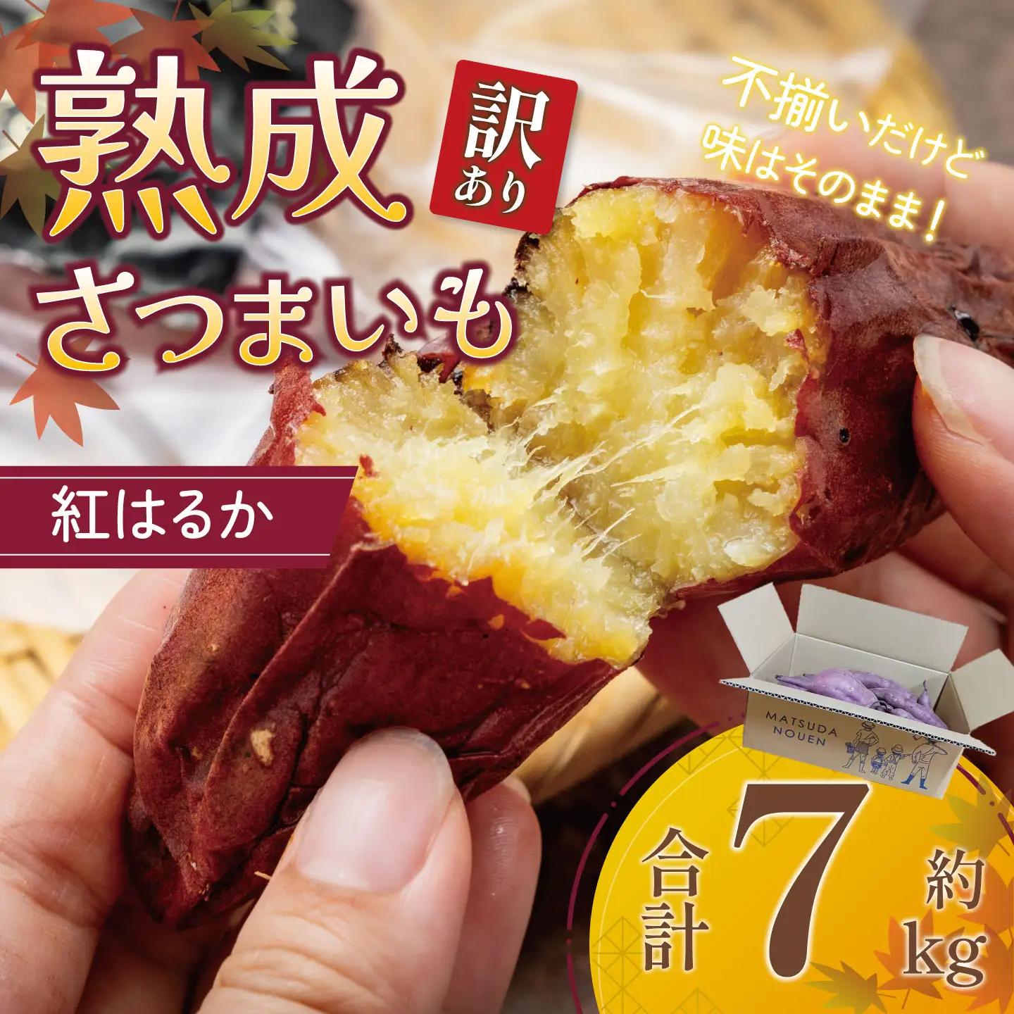 先行予約 さつまいも 訳あり 紅はるか 7kg さつまいも
