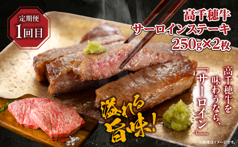 【3か月定期便】 高千穂牛ステーキ定期便| 牛肉 肉 お肉 サーロイン ステーキ 赤身 定期便 定期 国産牛 ブランド牛 和牛 ハンバーグ 国産 贈答 贈り物 簡単調理 おかず 普段使い |_Tk00