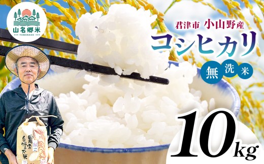 新米 無洗米 令和8年産 君津市小山野産 コシヒカリ 10kg | メディアで紹介 ！ あかかげ農園 山名郷米 メディアで紹介 ！ 千葉稲作 こしひかり 千葉県産 むせんまい 米 コメ こめ お米 千葉県 君津市 きみつ