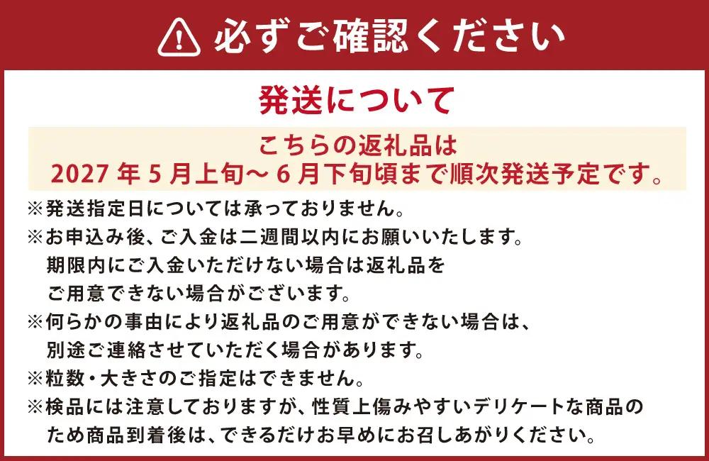 自然の循環の中で育ったいちごけんたろう 2箱8パック入り いちご 苺 イチゴ フルーツ くだもの デザート 国産 北海道 豊浦町 【2027年5月上旬～6月下旬頃まで発送予定】
