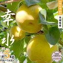 【ふるさと納税】【 先行予約 】 茨城県産 梨 幸水 約5kg 6玉～14玉 (茨城県共通返礼品 かすみがうら市) (2025年8月上旬発送開始) 産地直送 久保田果樹園 フルーツ 甘い 直送 茨城 限定 ギフト 梨 幸水 こうすい 果物