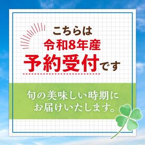 【先行予約】令和8年産 グリーン・ホワイトアスパラセット 1kg（グリーンアスパラ Lサイズ・ホワイトアスパラ 2Lサイズ） アスパラ F4G-0287
