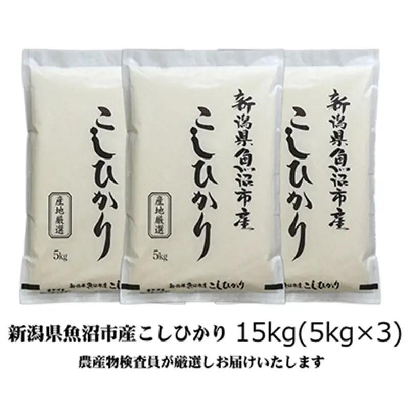 令和7年産 農産物検査員お奨め 魚沼産こしひかり（精米）15kg（5kg×3） お米 コシヒカリ 
