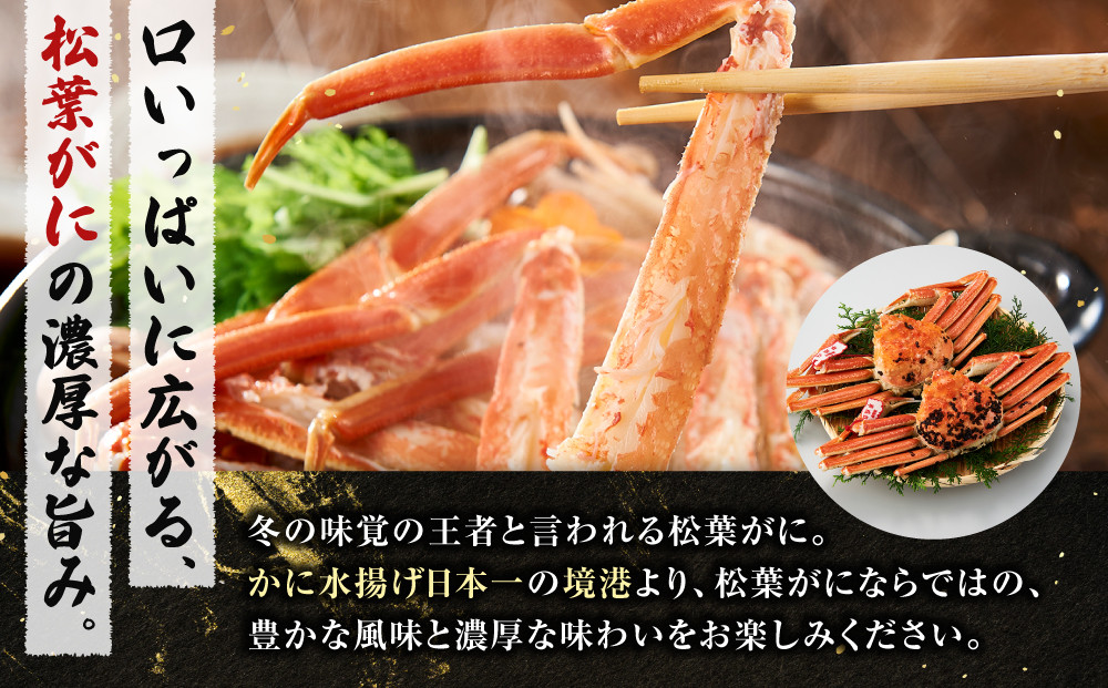 境港産松葉がにボイル姿タグ付き　計1kg（中サイズ2枚）