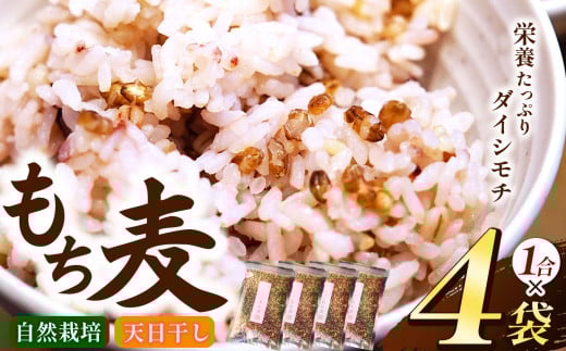 もち麦  ( ダイシモチ )  4袋 セット（ 1合 × 4袋）【 無農薬 無肥料 自然栽培 天日干し 】 | ののま自然農園  もちむぎ 古代米 雑穀  千葉県 君津市