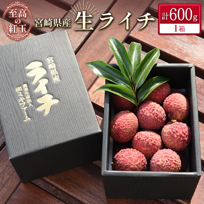 【ふるさと納税】宮崎県産 生ライチ「至高の紅玉」計600g ≪2026年6月下旬～発送≫ 人気 国産 希少 果物 旬 ギフト プレゼント