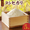 【ふるさと納税】令和5年産 コシヒカリ 5kg 精米 単一原料米 白米 ごはん おにぎり 米作り 熊本県 天草 お取り寄せ 食品 九州 故郷の味 常温 送料無料