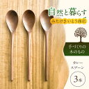 【ふるさと納税】手づくりのカレースプーンの3本セット　～みたけさいとう商店～