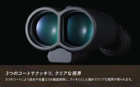 防振双眼鏡 ビクセン ATERAII H14x42WP ブラック | 双眼鏡 アテラ vixen FN-Limited-PR
