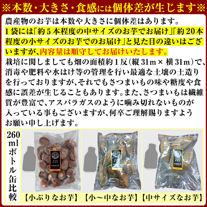 a0001-BS2 冷凍焼き芋！畑の金貨・やきいもセット(紅はるか1kg・シルクスイート1kg)計2kg【甘いも販売所】