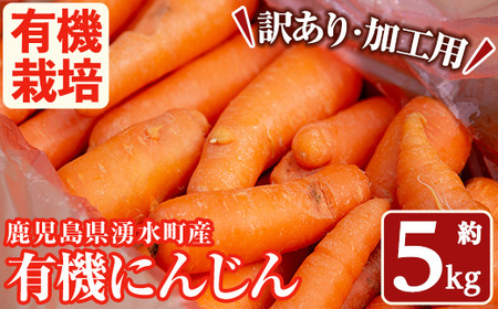 湧水町産有機にんじん5kg (訳あり) にんじん_y503