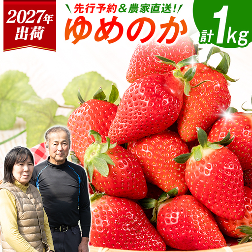 ＜2027年出荷＞先行予約 宮崎県産 いちご「ゆめのか」計1kg フルーツ 期間限定 デザート ご褒美【B701】
