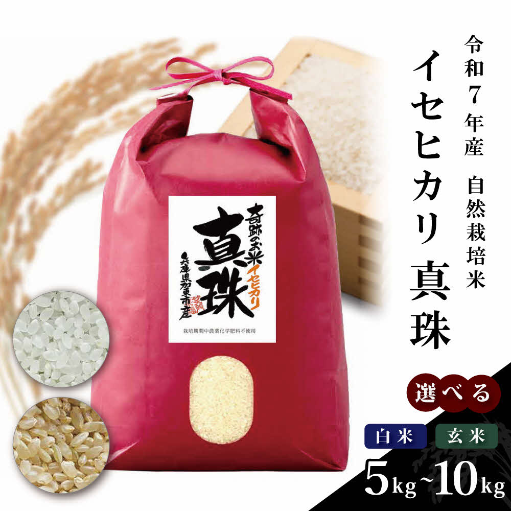 【ふるさと納税】自然栽培米 令和7年産 イセヒカリ 真珠 玄米・白米 5kg・10kg（5kg×2） / 奇跡のお米 伊勢ひかり オーガニック お米 精米 米 コメ いせひかり 5キロ 10キロ ライス 兵庫県産