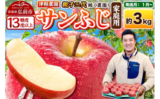 【27年1月～発送】りんご  サンふじ【家庭用】約3kg 8～12玉程度【糖度13度以上】津軽農園 [先行予約 青森県 弘前市 アップル おいしい ふじ りんご 果実 果物 赤色 津軽 糖度 美味 林檎]