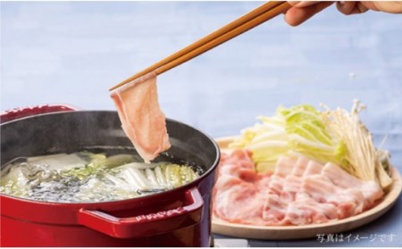 【冷めてもおいしい♪】大西海SPF豚 背ロース（しょうが焼き用＆しゃぶしゃぶ用）計1.3kg（各650g）＜大西海ファーム＞ [CCY006]