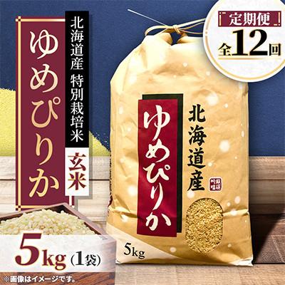 ふるさと納税 長沼町 【毎月定期便】特別栽培米 北海道産ゆめぴりか5kg 美味しい玄米 特Aランク 全12回