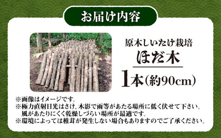 しいたけ 原木 しいたけ栽培 ほだ木1本 [BNAU003]