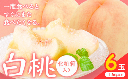 白桃 6玉【配送不可地域あり】桃