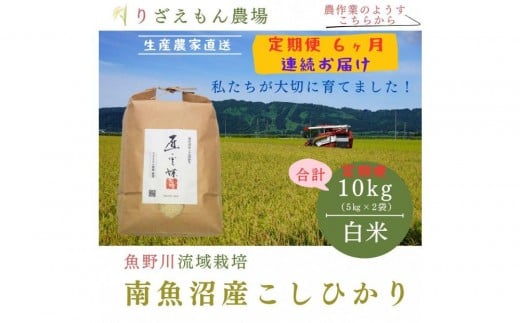 《新米予約受付》【定期便６回×１０kg≪合計６０kg≫】令和７年産　南魚沼産コシヒカリ　白米 １０kg　＼生産農家直送／【2025年10月上旬より順次発送予定】