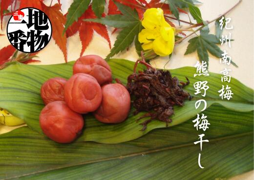 【ふるさと納税】【訳あり】数量限定 しそ漬け大つぶれ梅 1kg うめぼし 梅ぼし しそ 漬物 熊野市