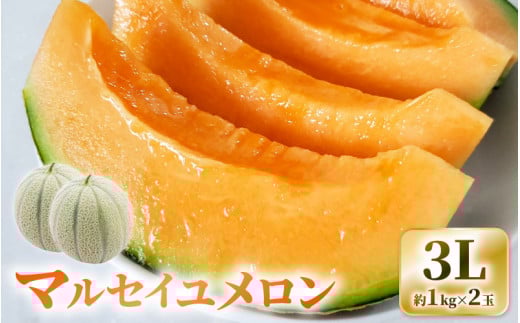 【先行予約】三里浜砂丘地産 マルセイユメロン（赤肉メロン）3L 2玉入り（1玉：約1～1.3kg） 【2025年6月上旬以降順次発送予定】【メロン めろん フルーツ デザート 果物 くだもの 果実 赤肉 糖度 甘い ジューシー お取り寄せ グルメ 産地直送 】 [A-19201]