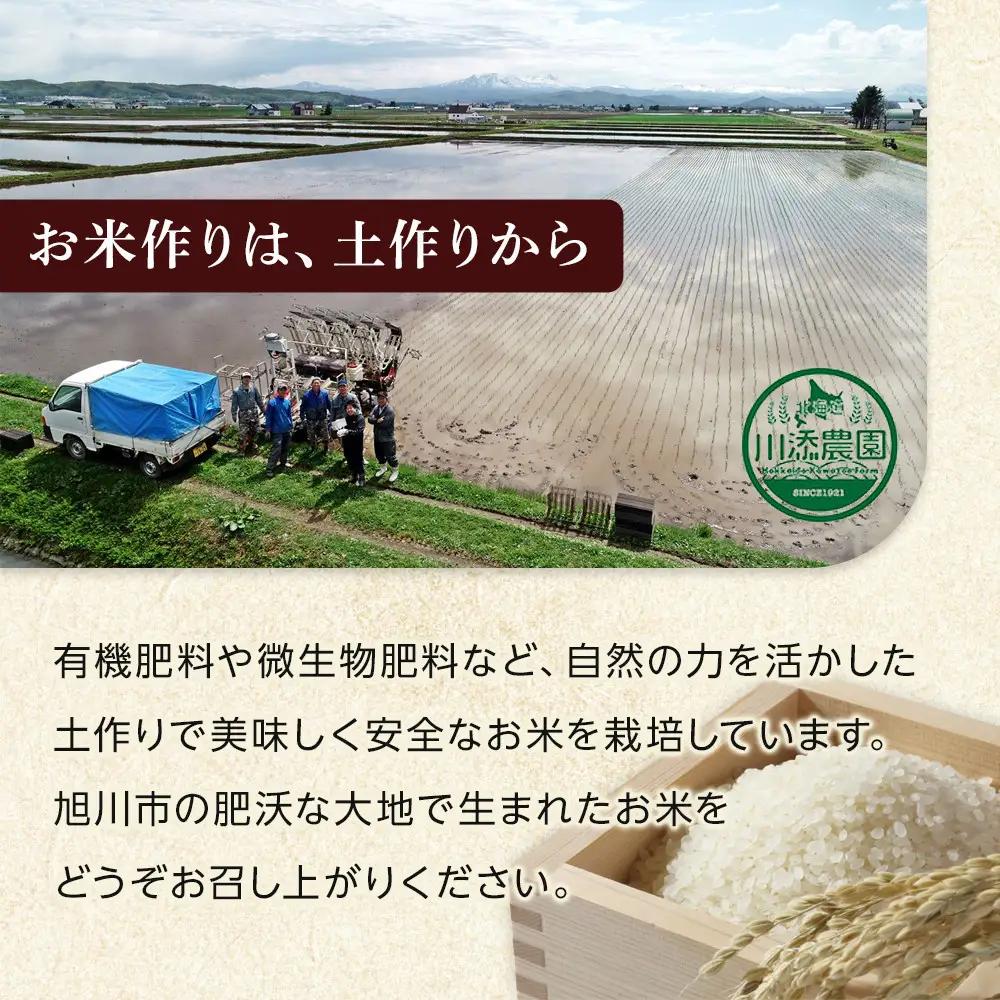 令和7年産　ゆめぴりか 無洗米 真空パック 5kg×2袋 10kg | ゆめぴりか_05241